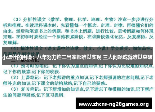 小波什的困境：八年努力连二当家都难以实现 三大问题成就难以突破