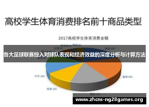 各大足球联赛投入对球队表现和经济效益的深度分析与计算方法